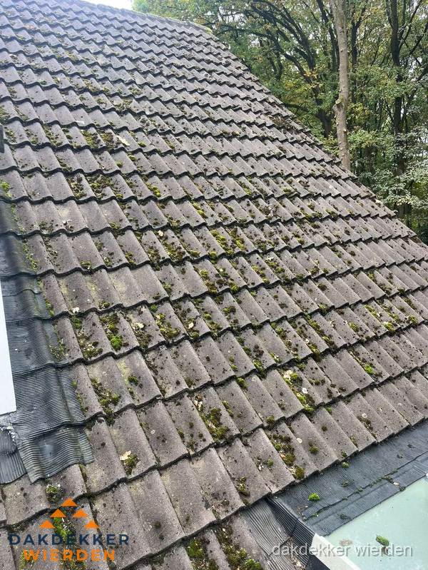 Verweerd pannendak met mosgroei dat renovatie nodig heeft in Wierden