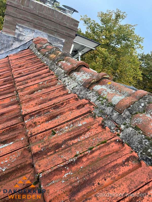 Verweerd hellend dak met mosgroei op nokvorst in Wierden Verweerd hellend dak met mosgroei op nokvorst in Wierden