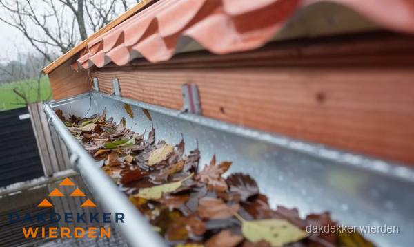 Dakgoot vol bladeren die gereinigd moet worden in Wierden Dakgoot vol bladeren die gereinigd moet worden in Wierden